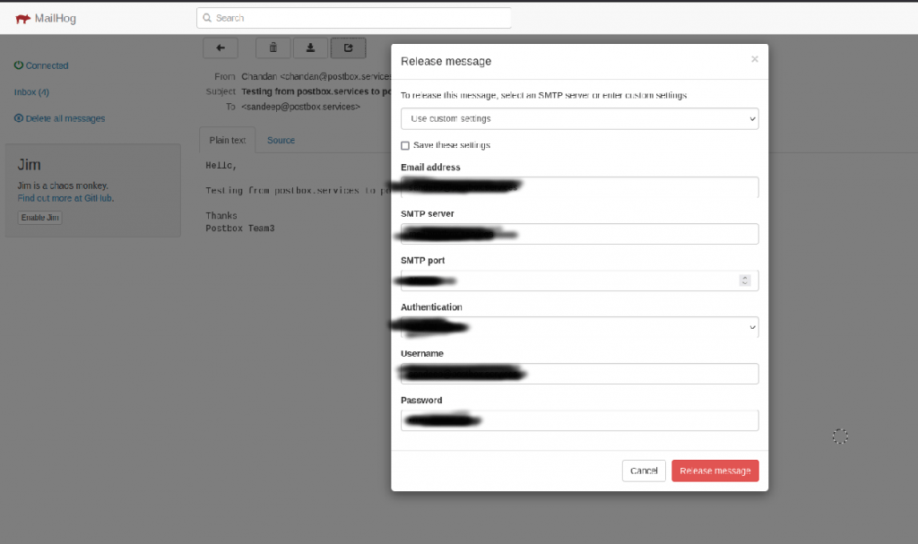 mailhog release command with custom server.